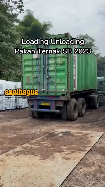 Loading-Unloading-Pakan-Ternak-SB-2023